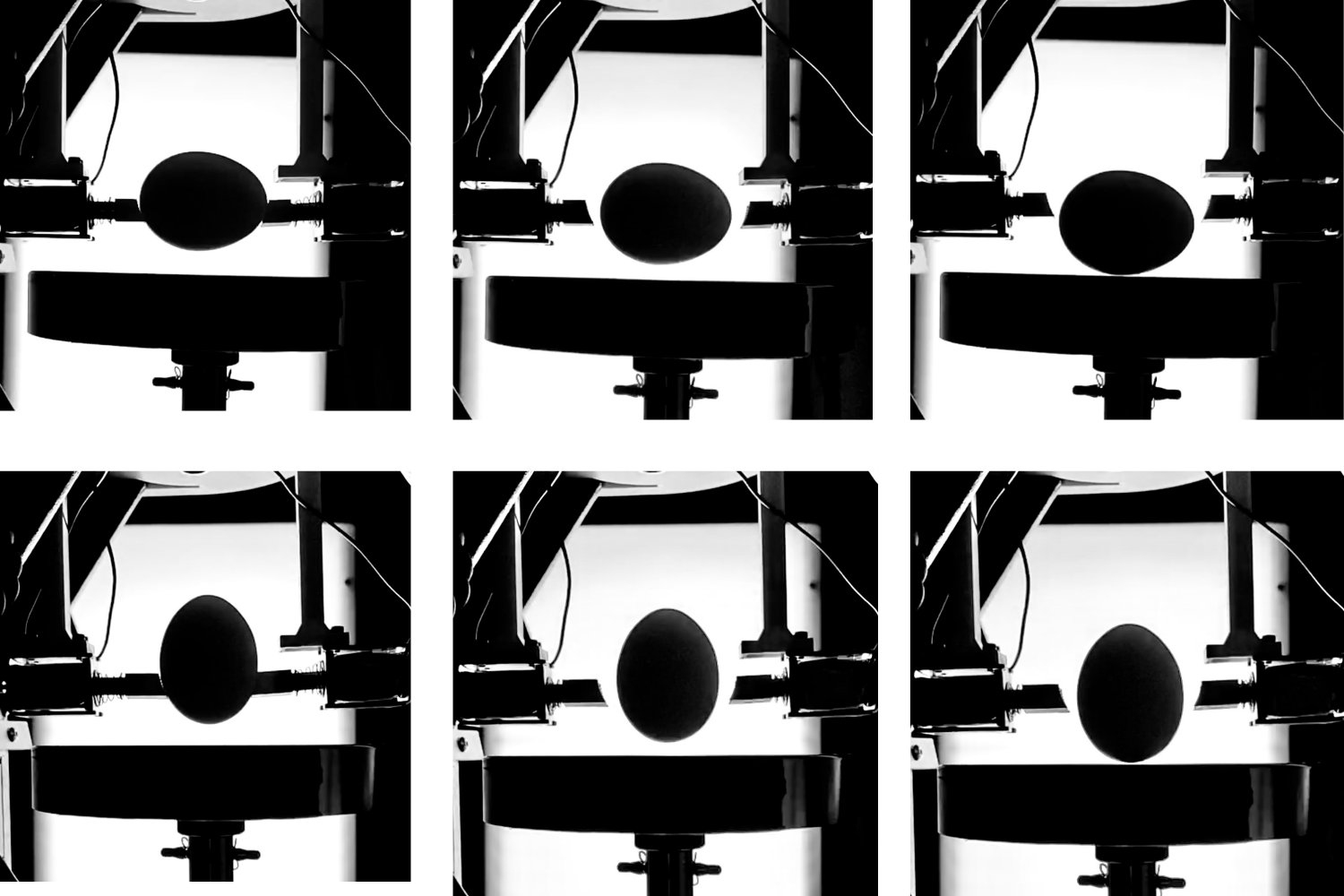 MIT Engineers Solve Egg Challenge, Discover Sideways Position is More Resilient