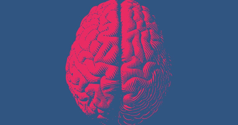 The Neurological Impact of Typhoid Fever: Understanding the Link