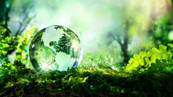 Revolutionary System Harnesses Sunlight for Carbon Capture Innovation