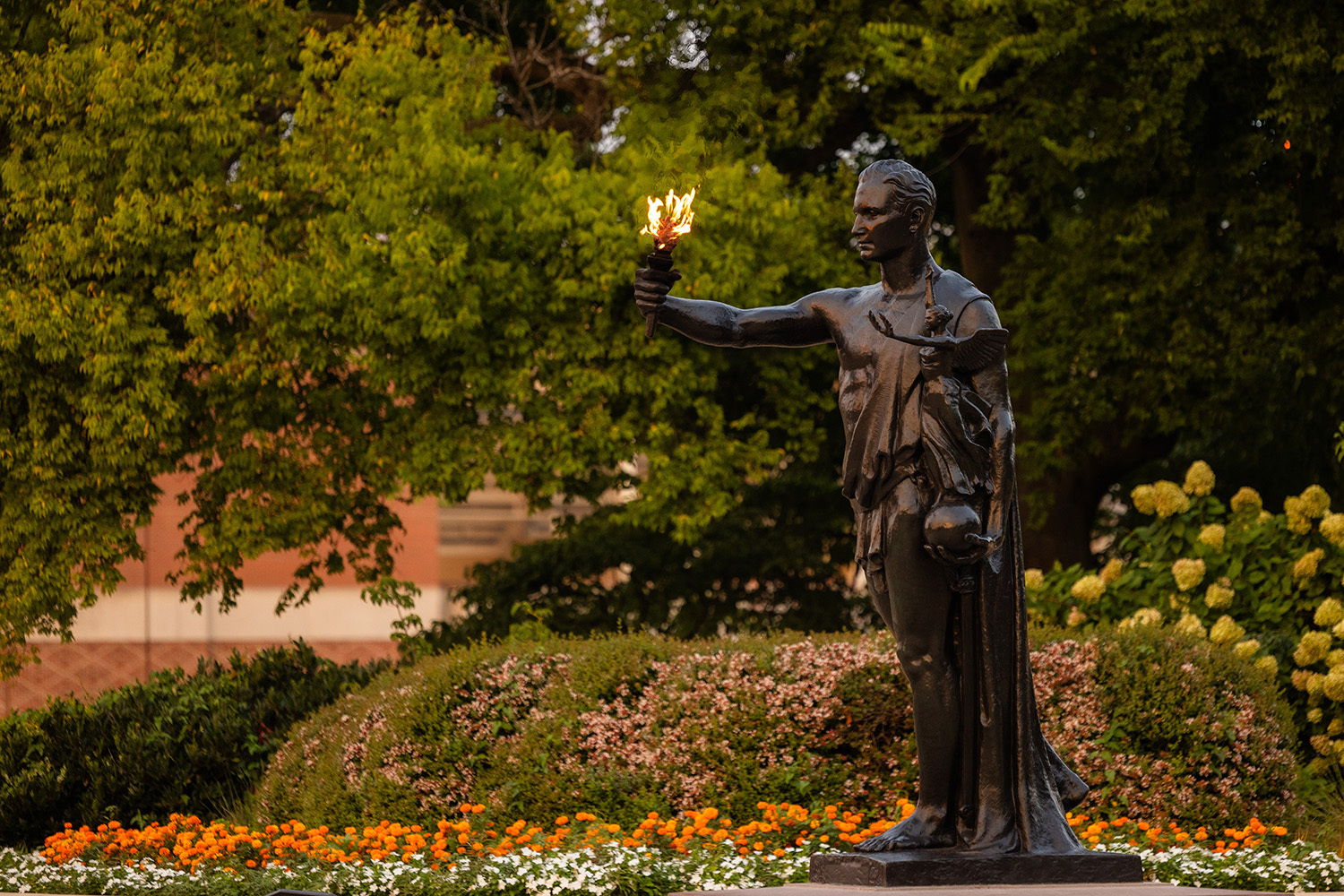 Van Puymbroeck Appointed Vice Provost and Dean of the Graduate School at UT