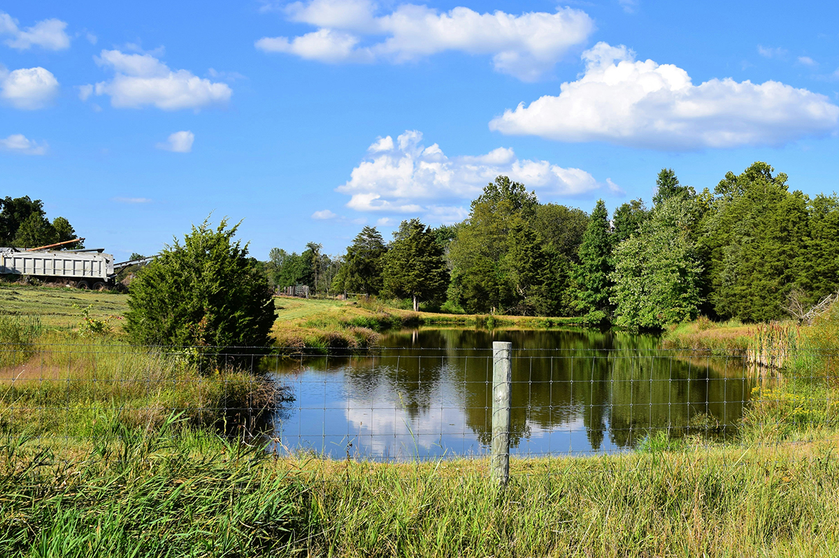 Eliminating Selenium from Water Requires Iron Power