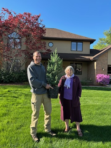 A Red Cedar tree story