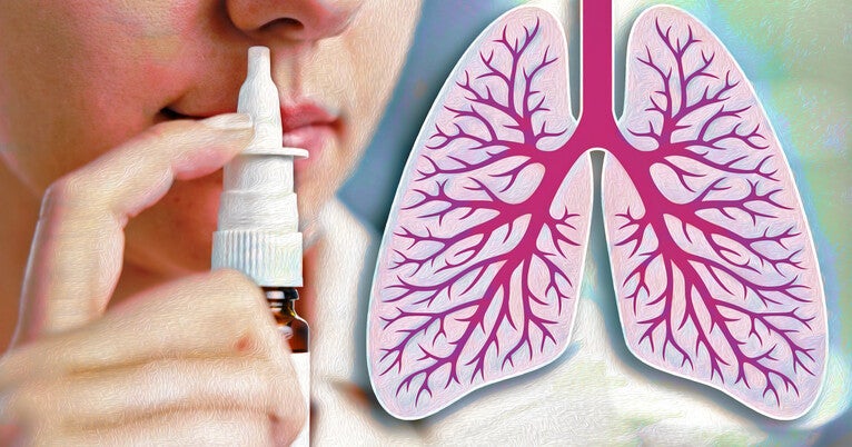 Revolutionary Insights for Crafting Safe and Effective Nasal Vaccines