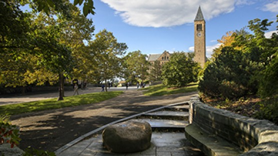 Celebrating Excellence: Nine Students Honored with SUNY Chancellor’s Awards