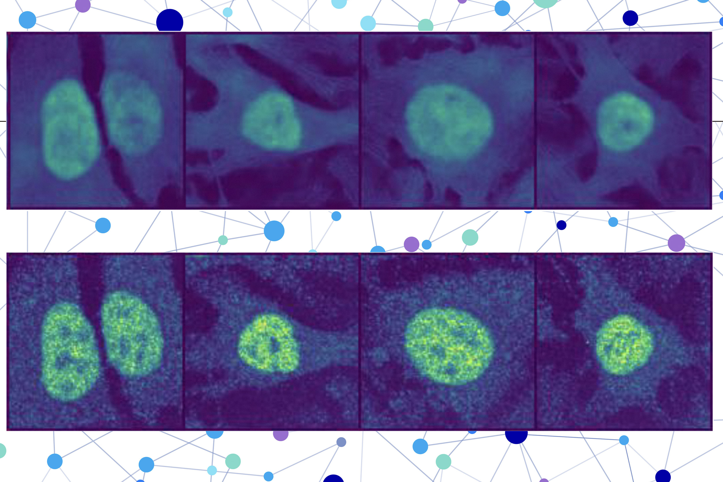 AI Revolutionizes Protein Localization Predictions in Human Cells