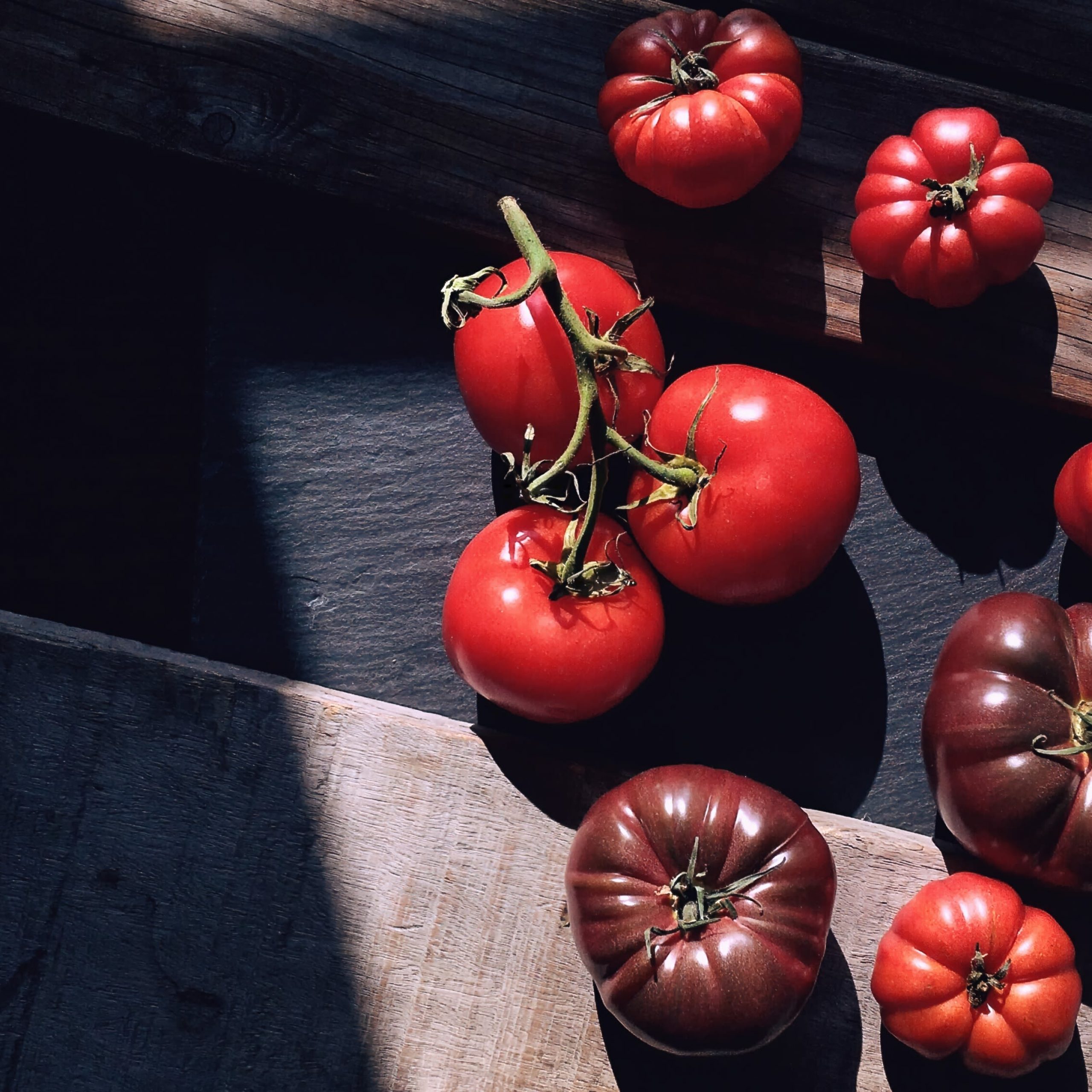 Crafting the Ultimate Tomato Sandwich Delight