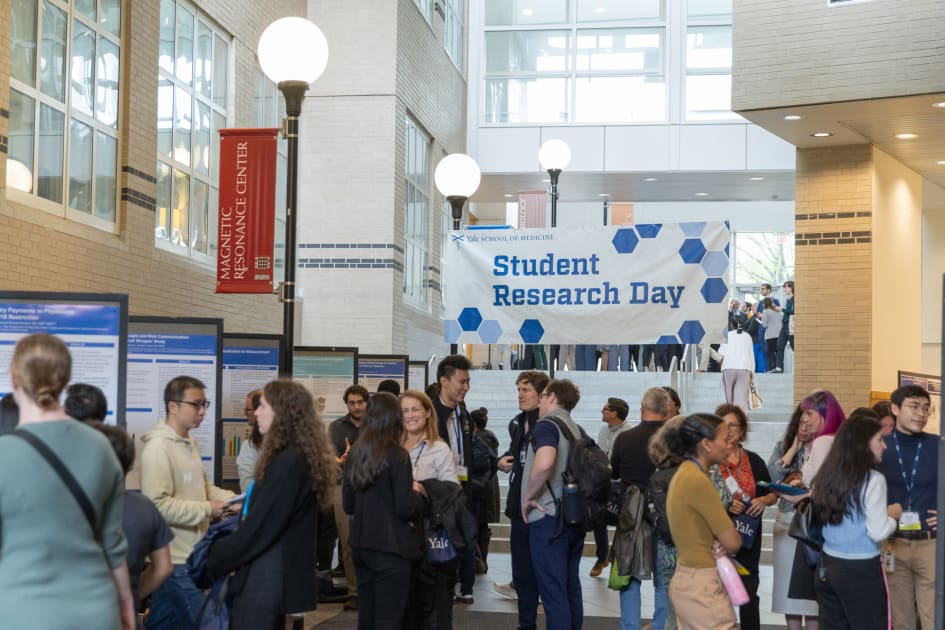 Honoring Scholars, Guides, and the Spirit of Discovery