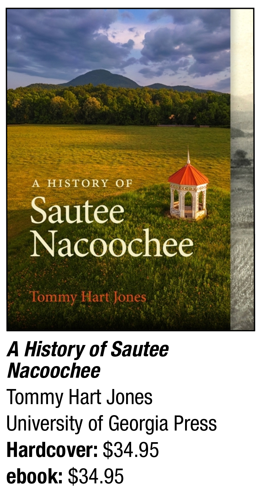 Echoes of the Appalachians: Chronicles of a Heartfelt Community