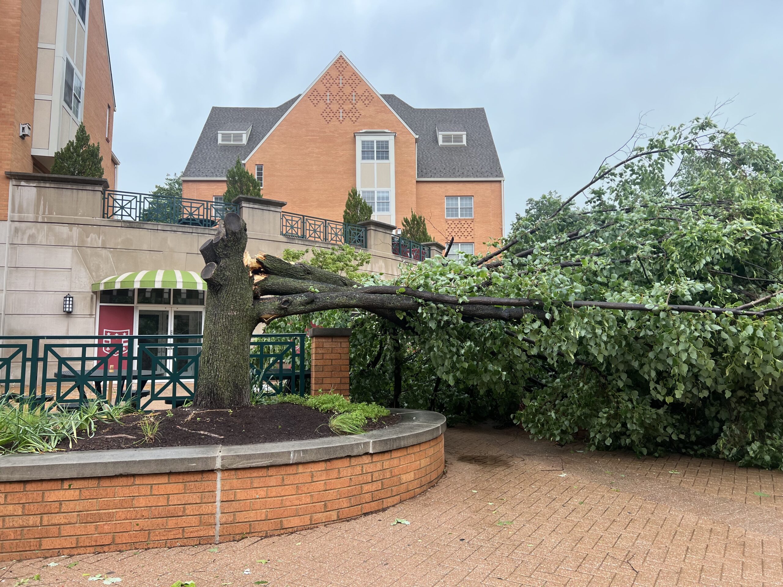 Danforth Campus Faces Impact from St. Louis Storms