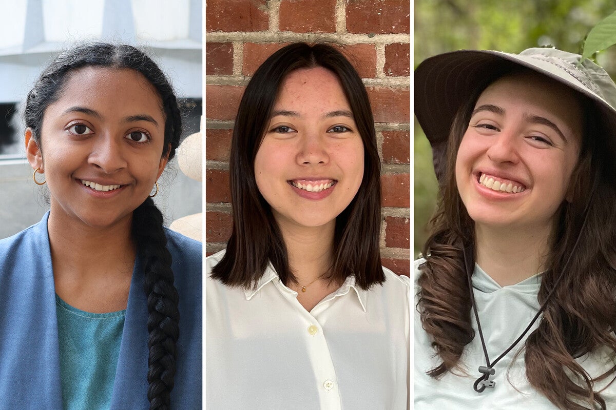 A Fresh Look at Tradition: Revamping Campus Spirit with New Headwear