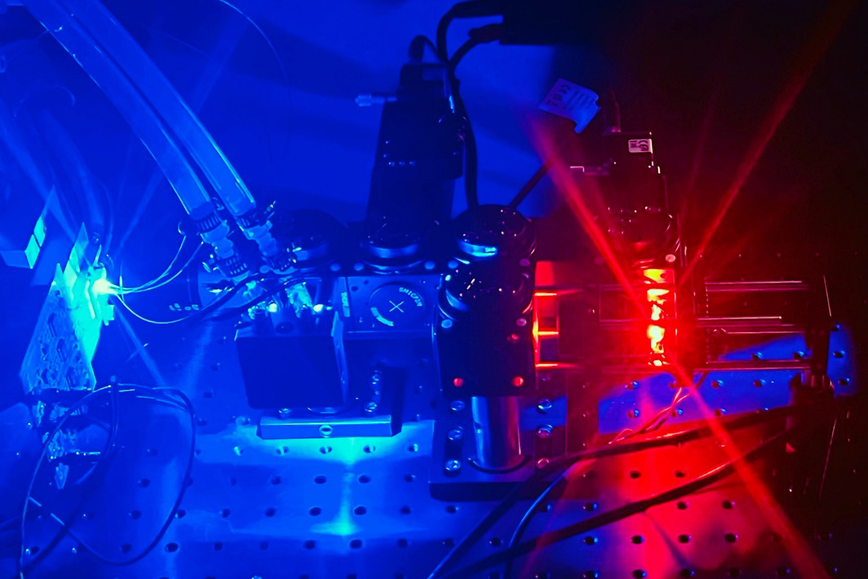 Revolutionary Method Quickly Assesses Cell Density, Indicating Health and Growth Status