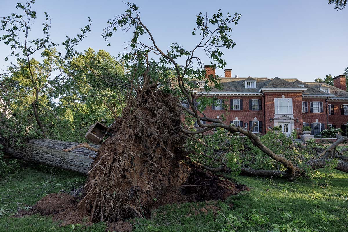Coping Strategies for Mental Well-Being After Recent Storms