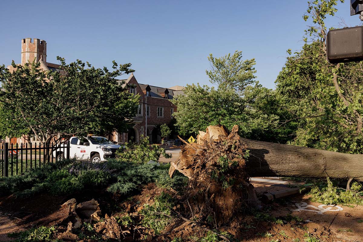WashU Community Collaborates with Neighbors for Tornado Recovery Efforts