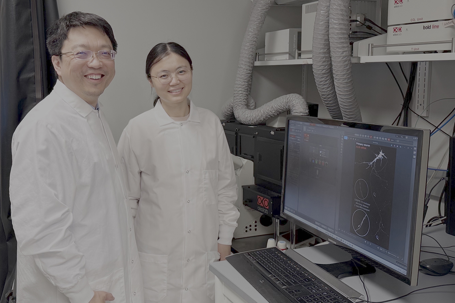 Revolutionary CRISPR Advances: Paving the Way for Neuron Repair