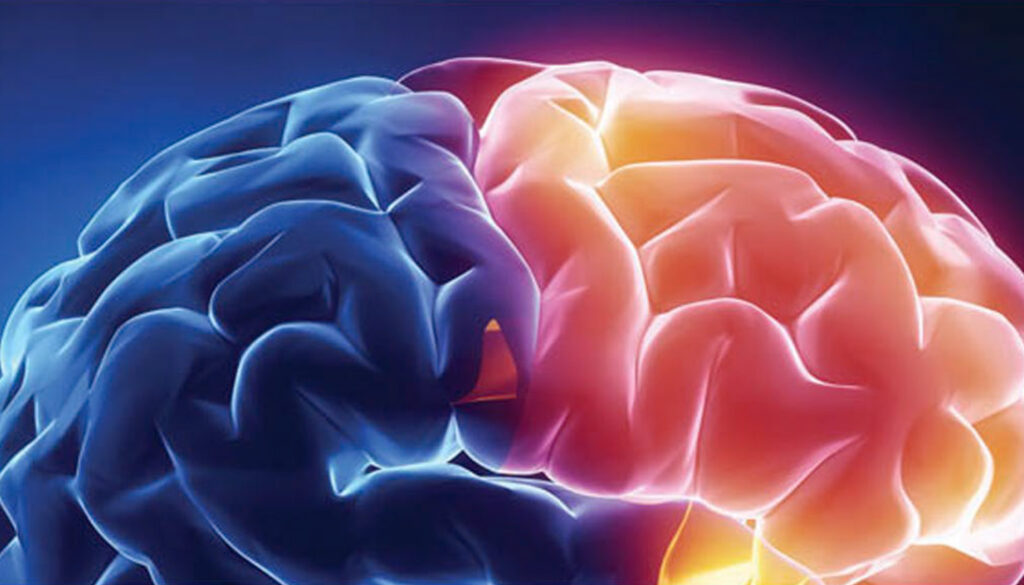 Do Groovy Brains Offer Enhanced Efficiency?