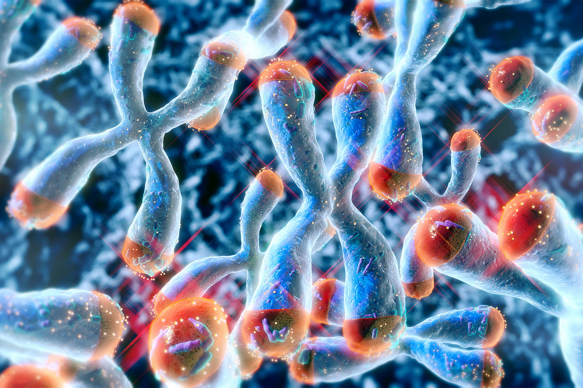 The Potential of Vitamin D Supplements in Slowing Biological Aging