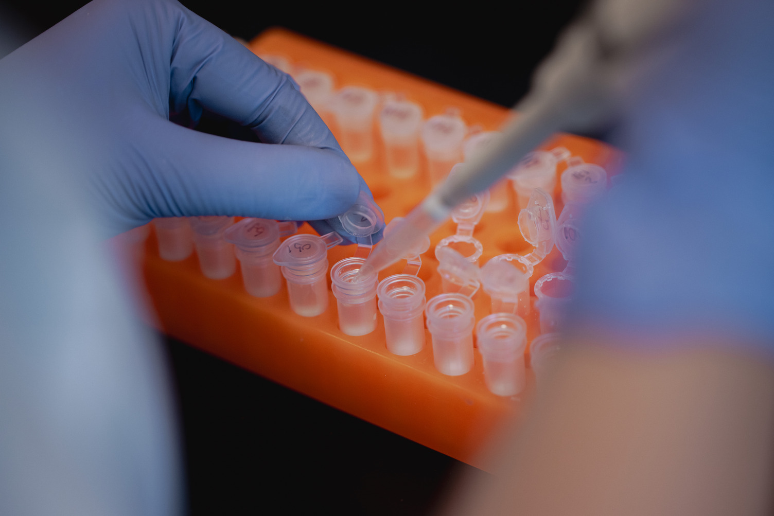 Streamlining Support: Three Initiatives to Enhance Research Efficiency