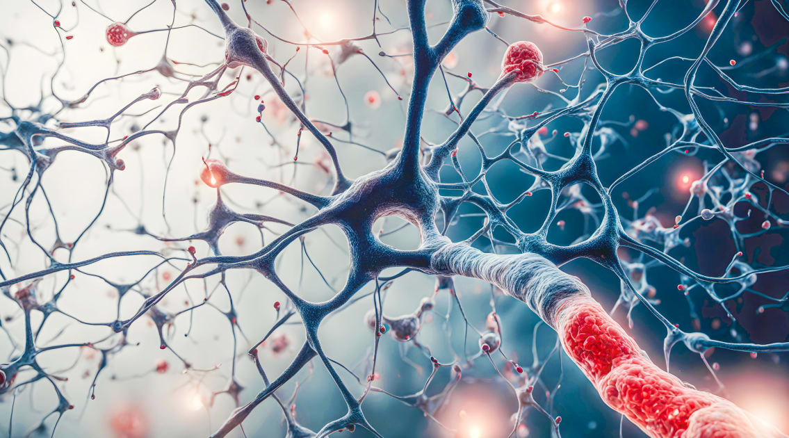 Decoding a Single Gene’s Impact on Various Neurodevelopmental Disorders