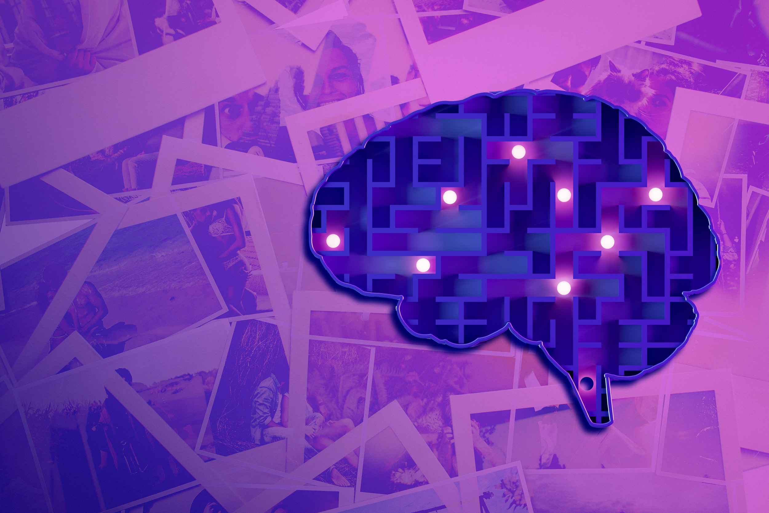Hidden Cells May Unravel the Secrets Behind the Brain’s Remarkable Storage Ability