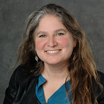 Navigating Complexity: Insights from Faculty Perspectives