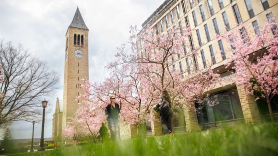 Fresh Faces Joining Cornell Board This July