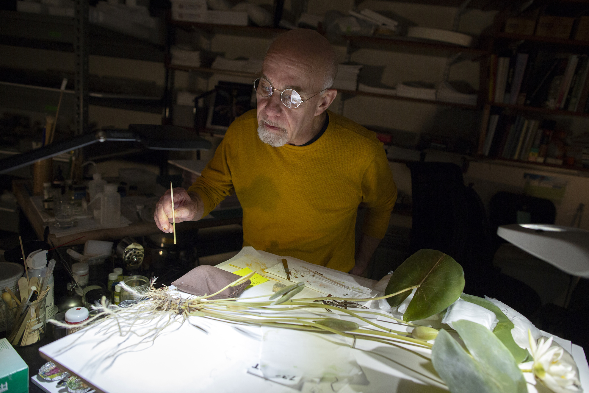 Scott Fulton engages in cleaning and restoring items from the glass flowers collection.