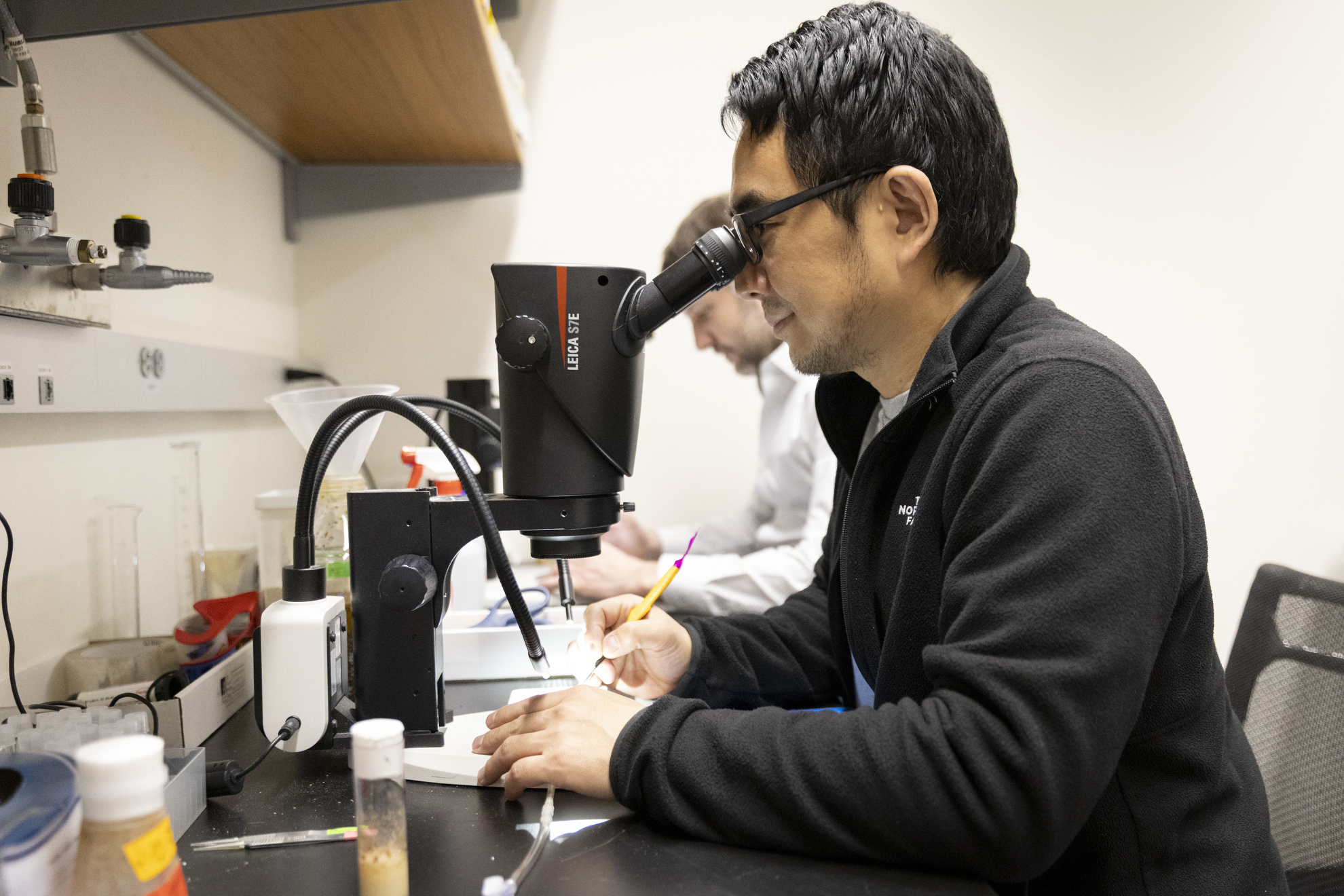Kenichi Iwasaki (featured), Research Scientist, collaborating with fruit flies.