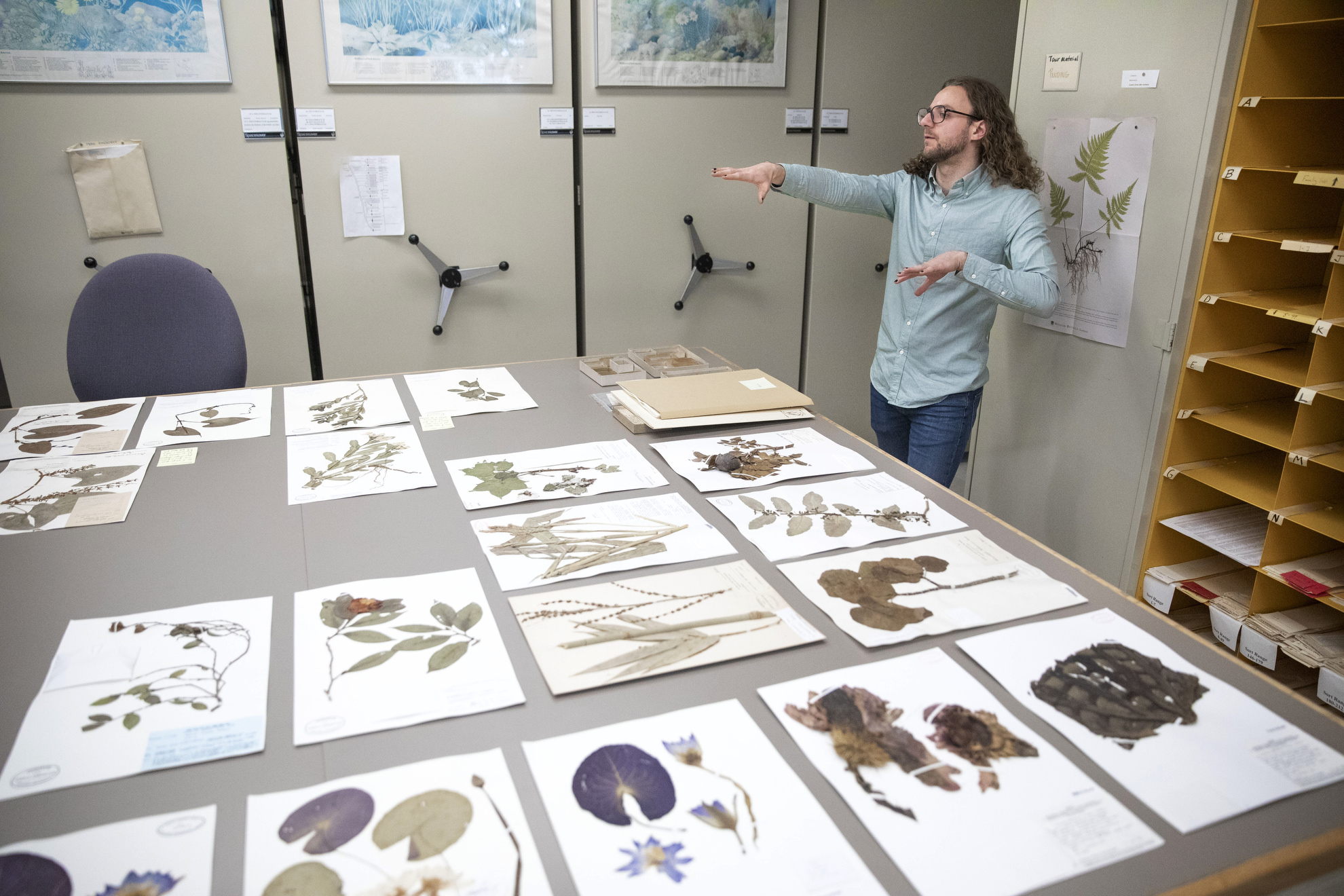Jackson Kehoe is shown with displays from the Herbarium collections.