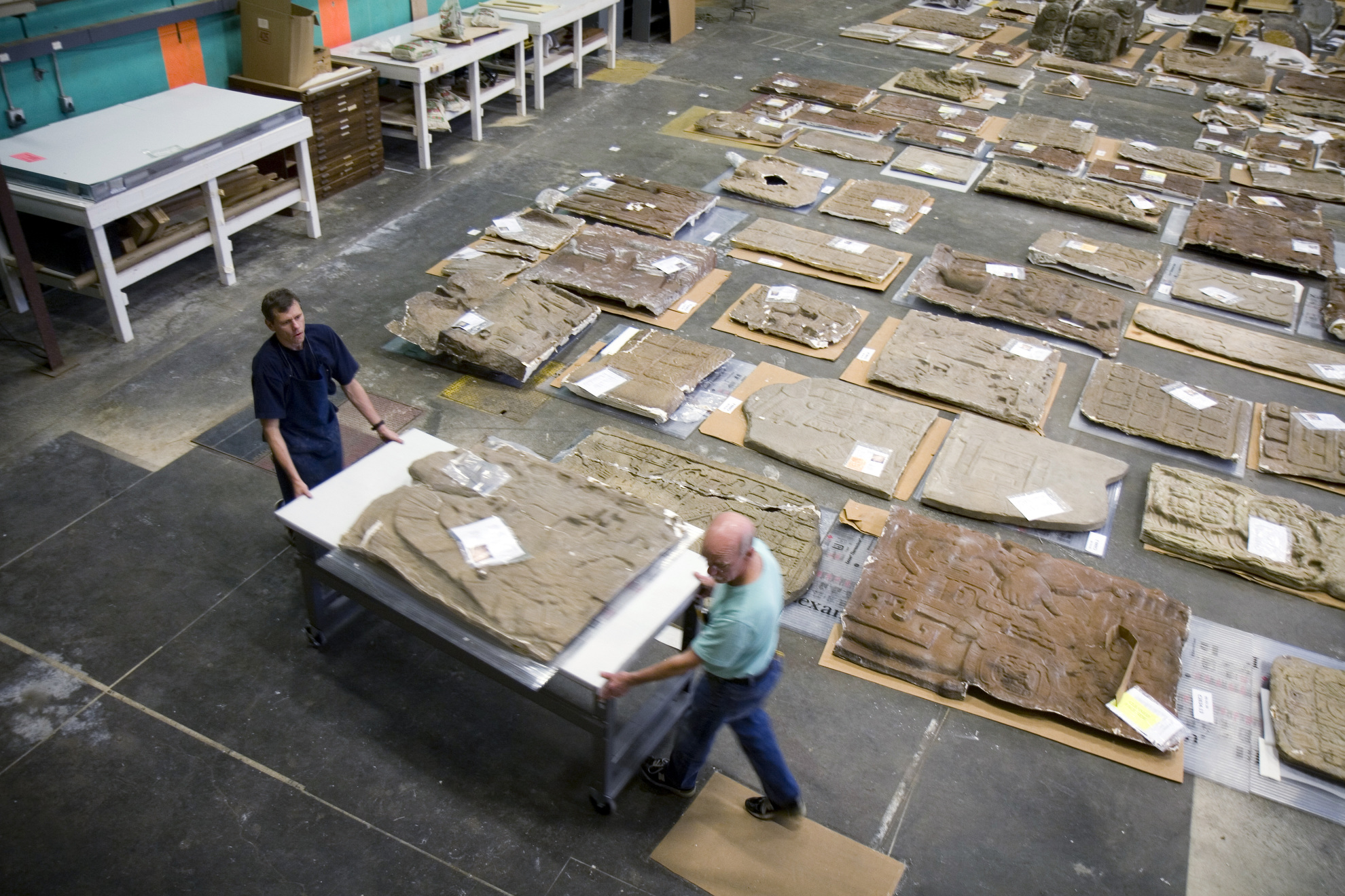 Stuart Heebner and Scott Fulton transport a cast for cleaning at the Peabody Museum.