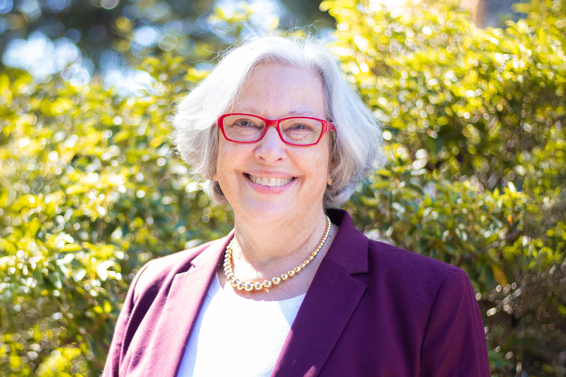 Honoring Gale Etschmaier: A Legacy of Innovation and Service at FSU Libraries