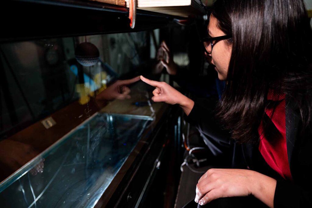 A profile view of a woman pointing with her right hand at the exterior of a long, glass enclosure. Inside the enclosure, is a softball-sized sphere with dimples hanging by a thin rod.