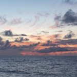 Impact of Steel and Coal Industries on the North Pacific Ecosystem