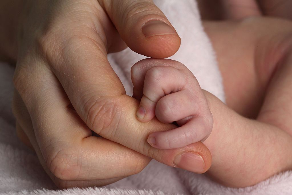 Navigating the Wilderness of New Motherhood: Stanford’s Insightful Exploration