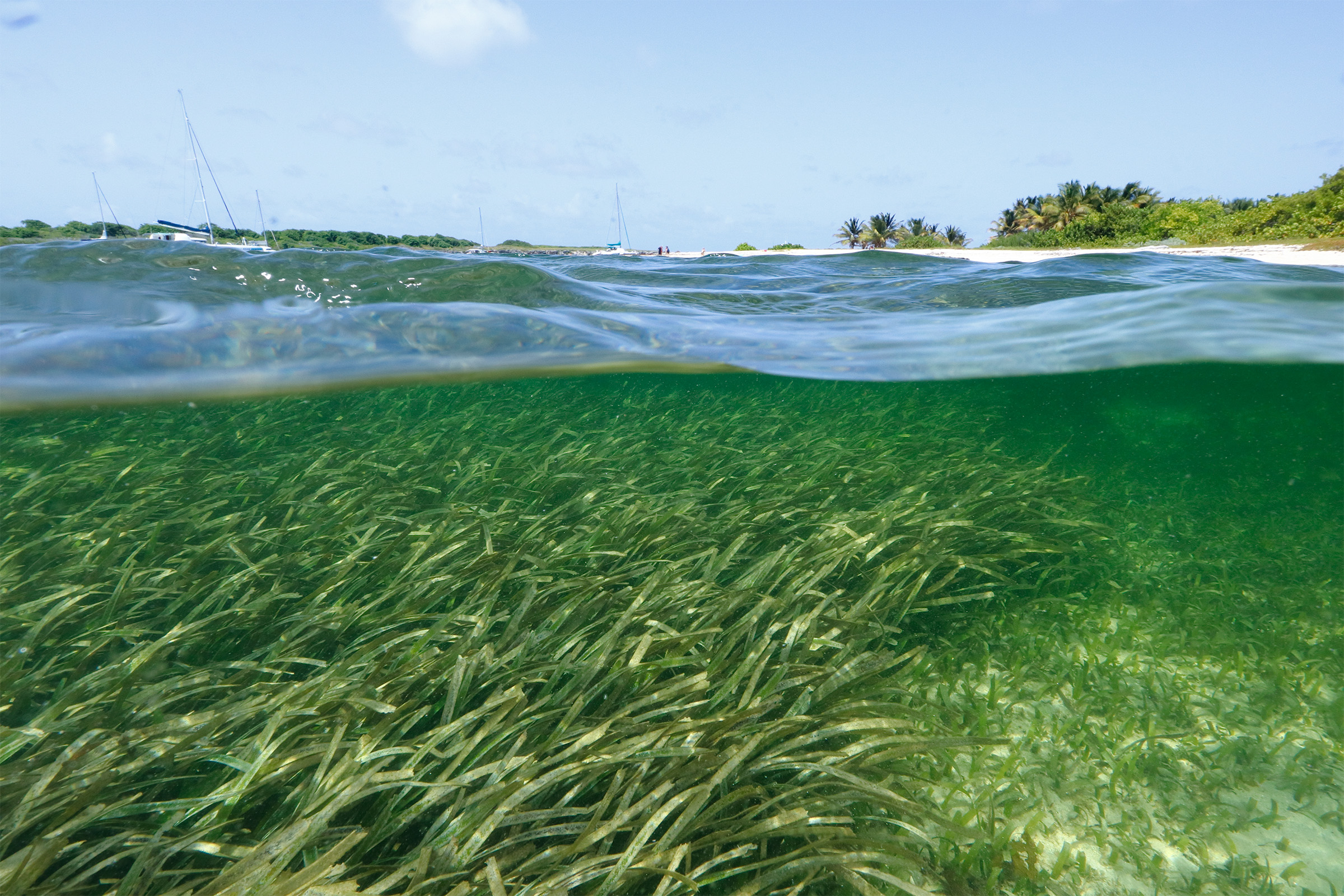 Research Identifies Key Zones for Microplastics Accumulation