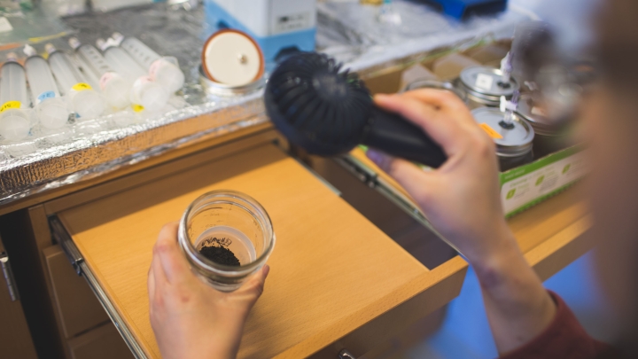 Dartmouth Students Celebrate NSF Graduate Fellowship Victories