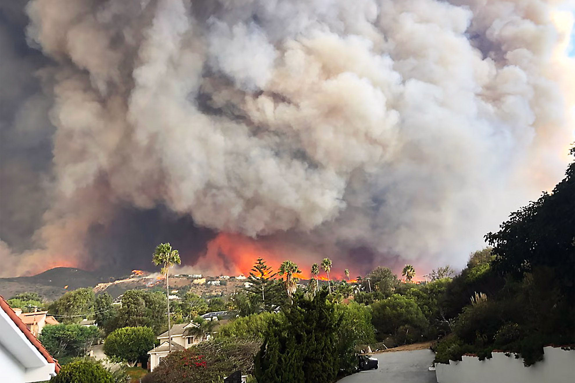 Lingering Smoke: The Hidden Dangers of Wildfires on Heart and Lung Health