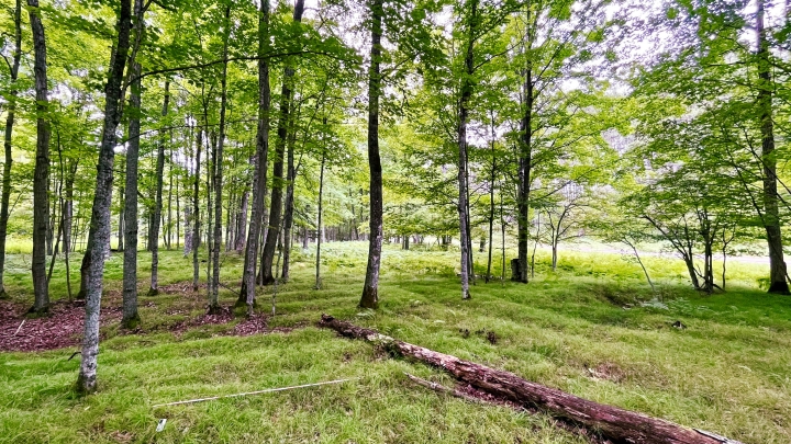 Ancient Farming Practices of Indigenous Peoples Uncovered in Michigan