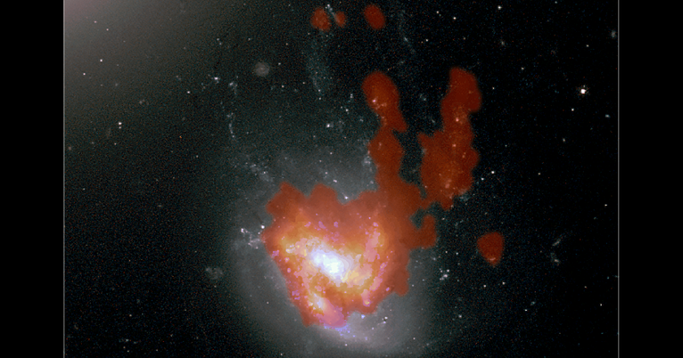 this-‘jellyfish’-has-bunny-ears-—-and-swims-in-a-galaxy-cluster