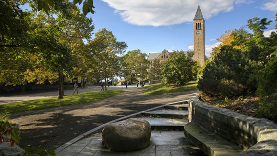 reorganized-office-strengthens-cornell’s-commitment-to-civil-rights