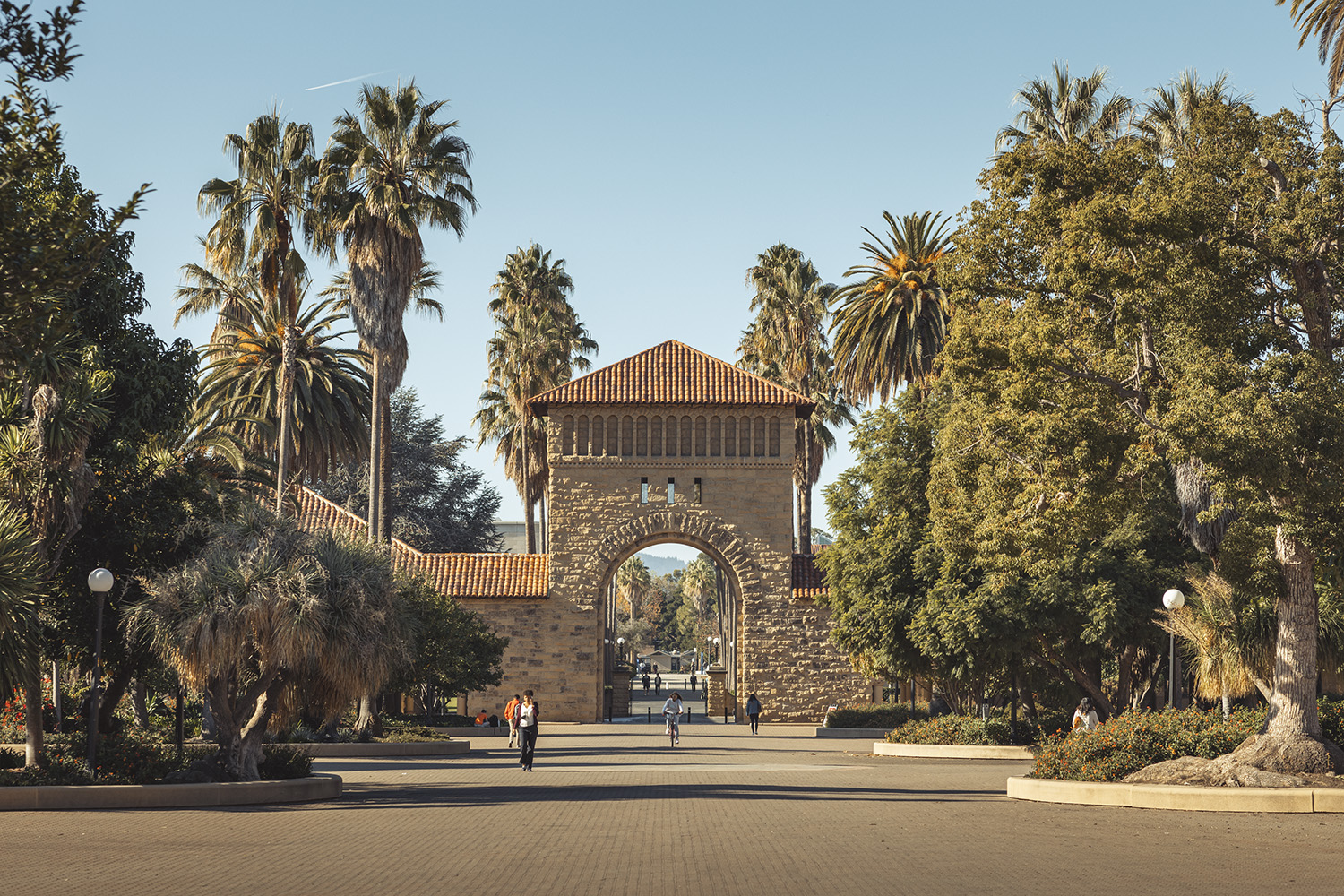 how-stanford-is-simplifying-decisions-and-processes