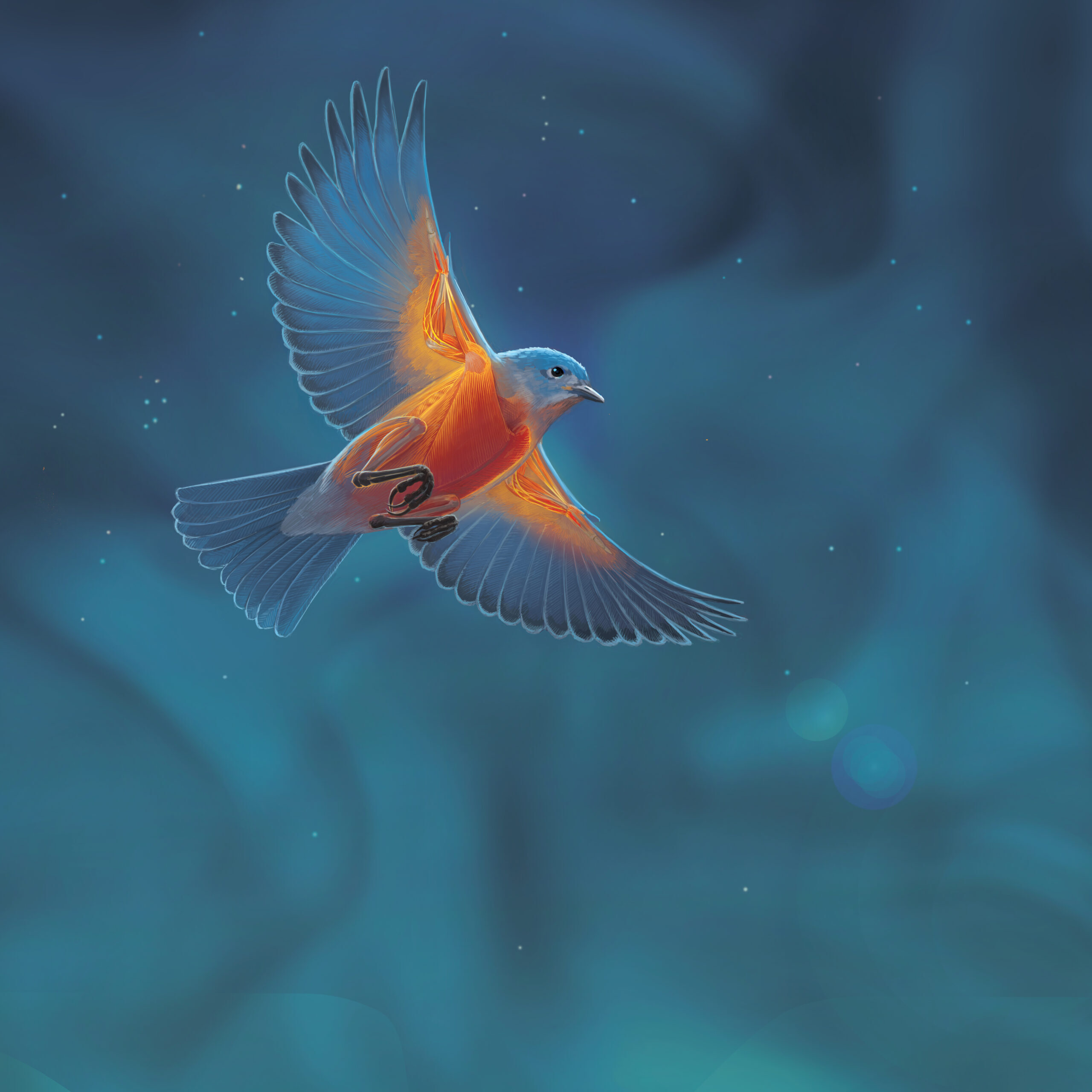 Bird Wing Evolution: A New Perspective on Thermal Regulation Beyond Flight