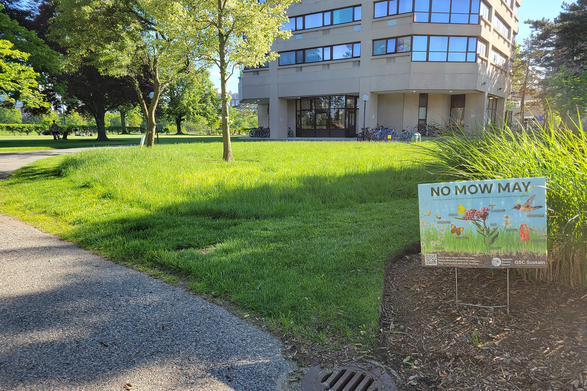 “Collaborative Efforts Kick Off MIT’s Inaugural ‘No Mow May'”