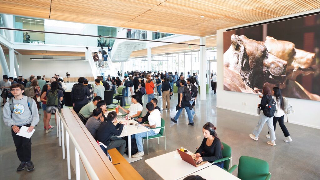Unveiling the Vision: The Architectural Journey of Berkeley’s Grimes Engineering Center