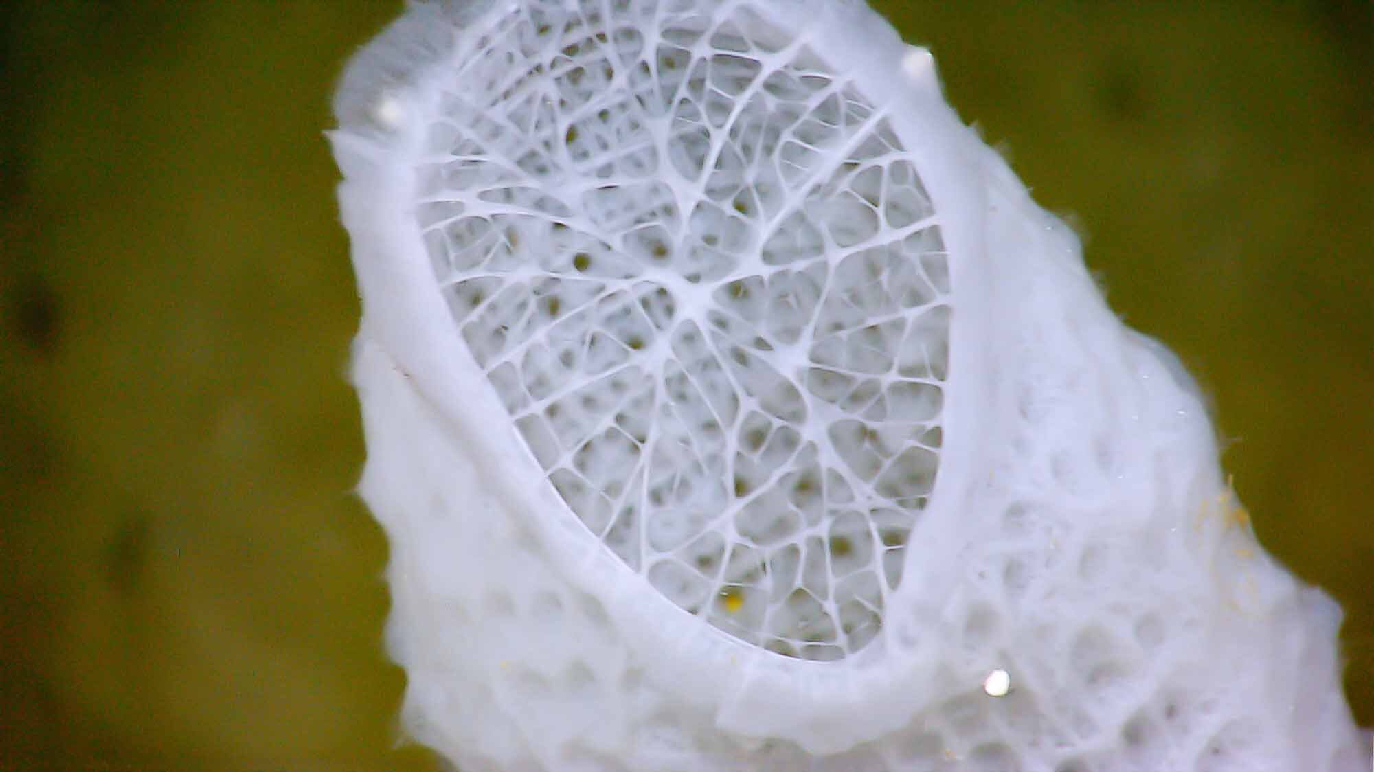 Innovative Techniques in Nanoparticle Assembly Pave the Way for Advanced Material Creation
