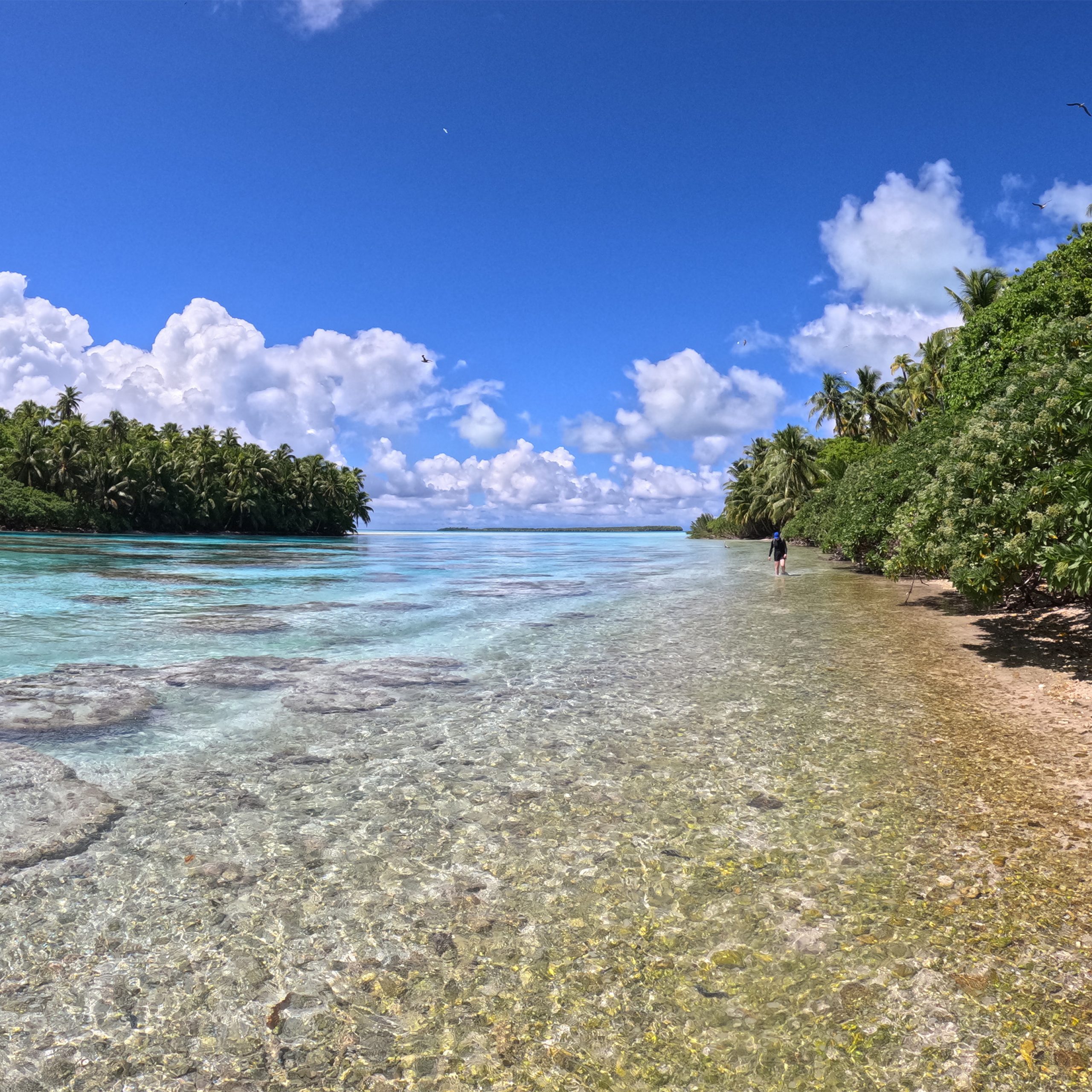 island-rivers-carve-passageways-through-coral-reefs