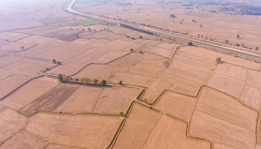 climate-change-cuts-global-crop-yields,-even-when-farmers-adapt