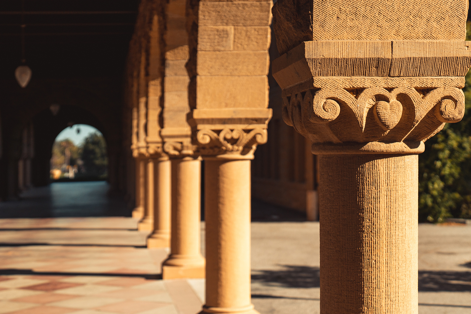 Presidential Update: New Faculty Appointments in the Academic Council