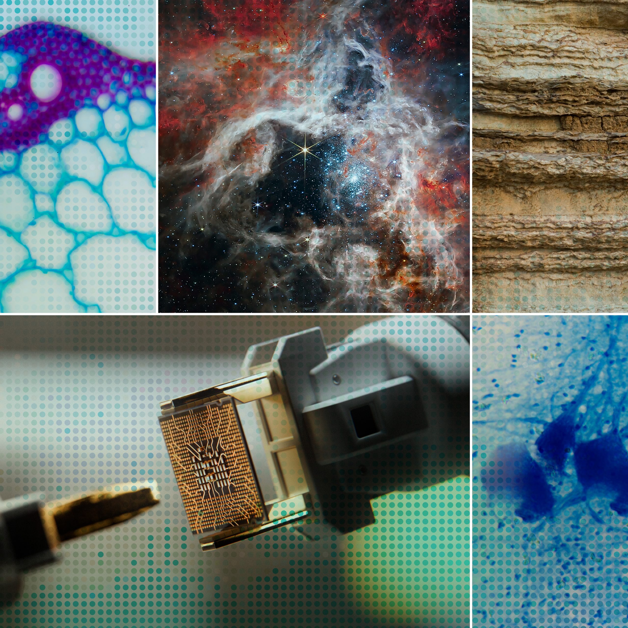 accelerating-scientific-discovery-with-ai