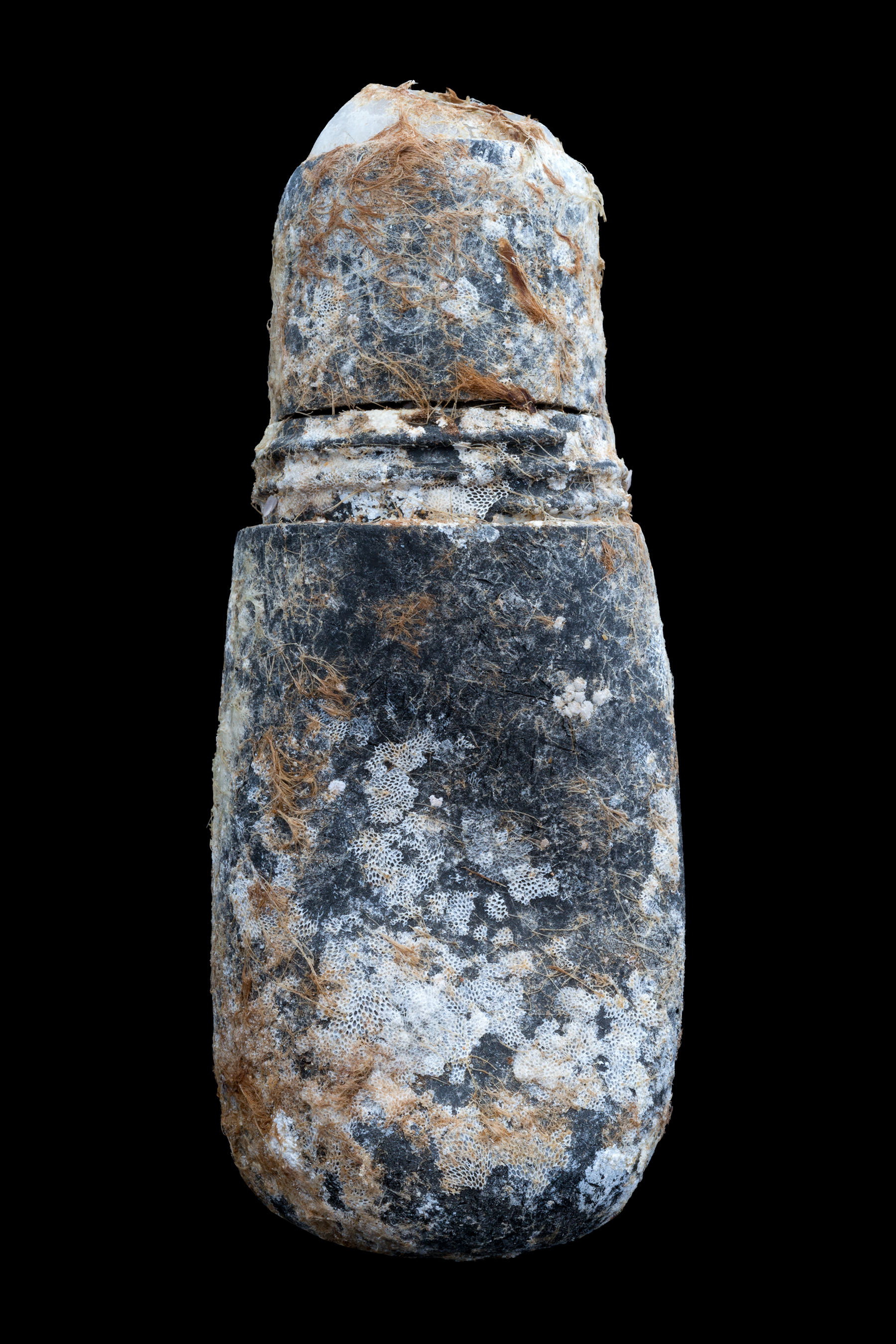 A deodorant container inhabited by bryozoa.