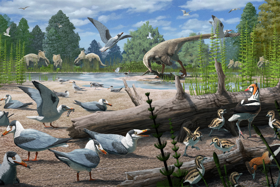 An artistic depiction of Cretaceous Period avians alongside other dinosaurs from the same era in the backdrop. A study published in the journal Science reveals the earliest-known instance of birds nesting in polar territories. (Illustration by Gabriel Ugueto)